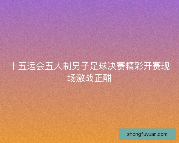 十五运会五人制男子足球决赛精彩开赛现场激战正酣