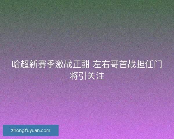哈超新赛季激战正酣 左右哥首战担任门将引关注